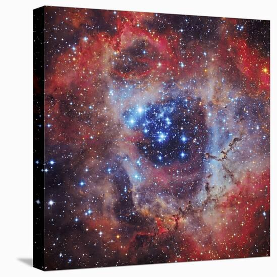 The Rosette Nebula-null-Premier Image Canvas