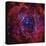 The Rosette Nebula-Stocktrek Images-Stretched Canvas