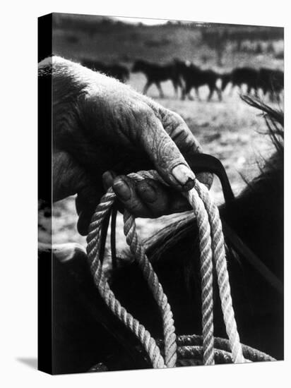 The Rough, Weathered Hand of an Oldtime Cowboy, Holding Rope-John Loengard-Premier Image Canvas