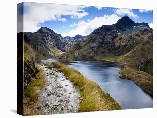 The Routeburn Trak in Mount Aspiring National Park Located in Ne-Sergio Ballivian-Premier Image Canvas