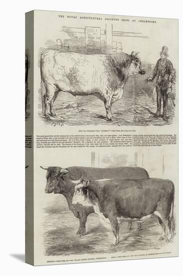 The Royal Agricultural Society's Show, at Chelmsford-Harrison William Weir-Premier Image Canvas