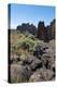 The rugged Smith Rock State Park in central Oregon's High Desert, near Bend, Oregon, United States -Martin Child-Premier Image Canvas