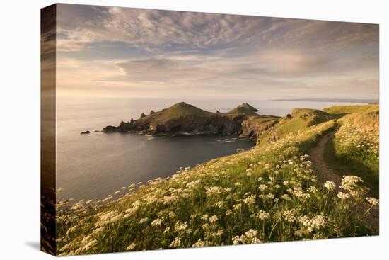 The Rumps, Pentire Head, Devon Coastal Path, Cornwall, UK-Ross Hoddinott-Premier Image Canvas