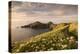 The Rumps, Pentire Head, Devon Coastal Path, Cornwall, UK-Ross Hoddinott-Premier Image Canvas