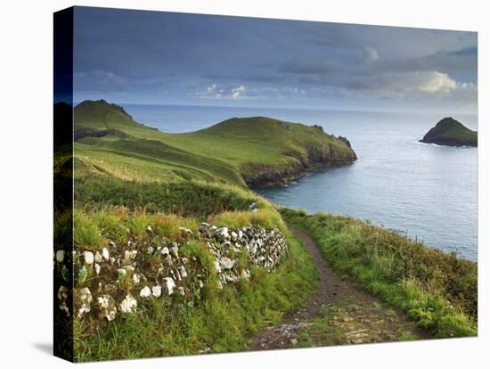 The Rumps, Pentire Point, Cornwall, England, United Kingdom, Europe-Jeremy Lightfoot-Premier Image Canvas