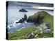 The Rumps, Pentire Point, Cornwall, England, United Kingdom, Europe-Jeremy Lightfoot-Premier Image Canvas