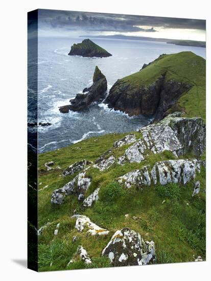 The Rumps, Pentire Point, Cornwall, England, United Kingdom, Europe-Jeremy Lightfoot-Premier Image Canvas