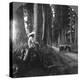 The Sacred Road to Nikko, Japan, 1905-BL Singley-Premier Image Canvas