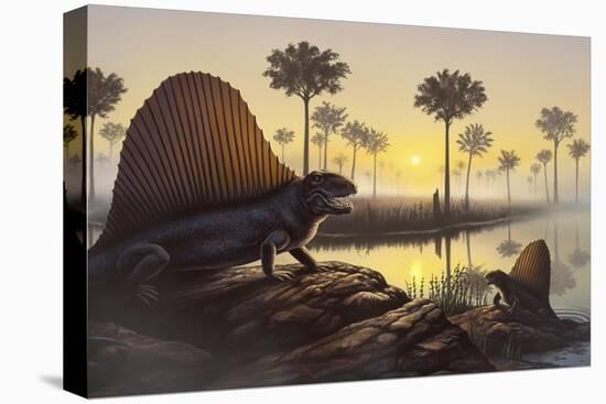 The Sailed-Back Dimetrodon Sunbathes in a Primordial Swamp-null-Stretched Canvas