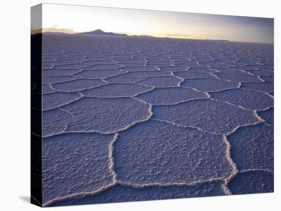 The Salar De Uyuni Salt Flat and Andes Mountains in the Distance-Sergio Ballivian-Premier Image Canvas