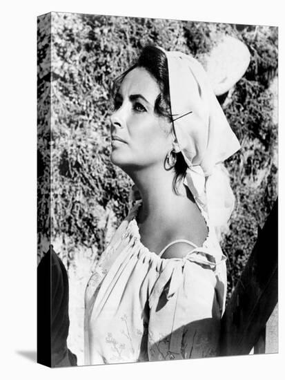 The Sandpiper, Elizabeth Taylor, 1965-null-Stretched Canvas