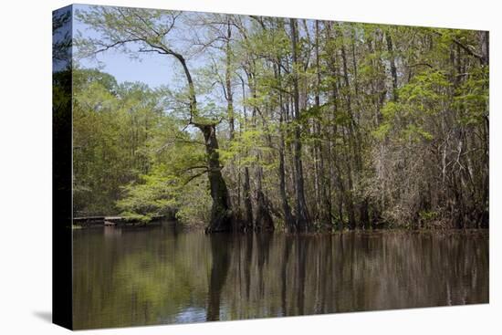 The Scenic Delta-Carol Highsmith-Stretched Canvas