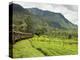 The Scenic Train Ride Through the Central Highlands, with its Mountains and Tea Plantations, Near N-Rob Francis-Premier Image Canvas