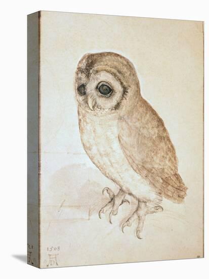 The Screech Owl-Albrecht Dürer-Premier Image Canvas