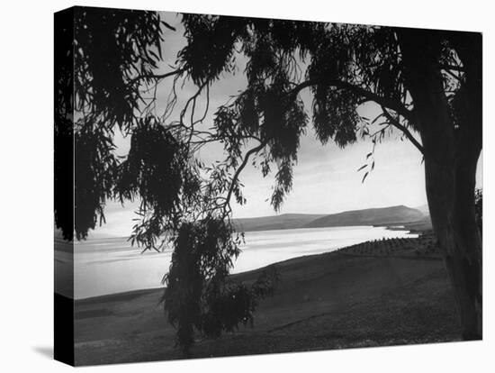 The Sea of Galilee as Seen from the Shade of a Tree, Mountains in the Background-Dmitri Kessel-Premier Image Canvas