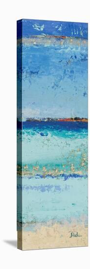 The Sea Panel II-Patricia Pinto-Stretched Canvas