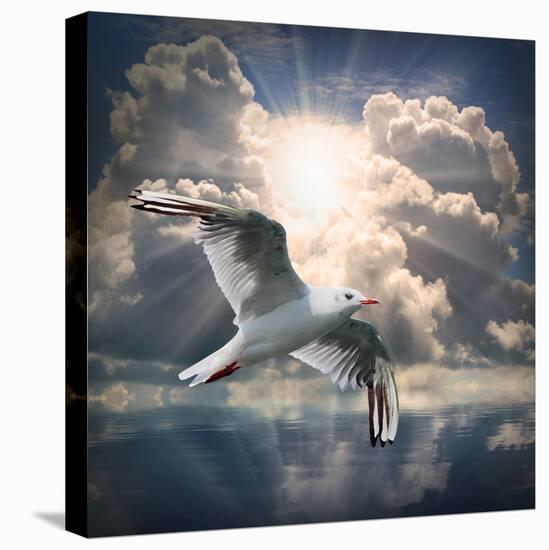 The Seagull Flying Over A Sea Against A Dramatic Sky. Background From Nature-Kletr-Premier Image Canvas