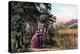 The Season of Love, Youth, 1868-Currier & Ives-Premier Image Canvas
