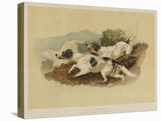 The Setters-Edwin Landseer-Premier Image Canvas