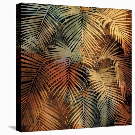 The Seychelles II-John Seba-Stretched Canvas