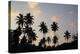 The Seychelles, La Digue, Beach, Palms, Grand' Anse, Dusk-Catharina Lux-Premier Image Canvas