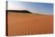 The Shapes of Sand Constantly Shaped by the Wind, Sossusvlei, Namib Naukluft National Park-Roberto Moiola-Premier Image Canvas