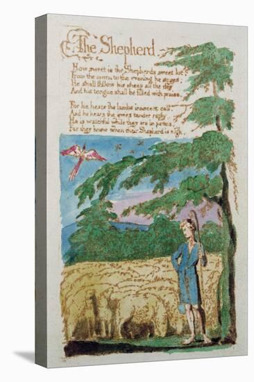 The Shepherd, from Songs of Innocence, 1789-William Blake-Premier Image Canvas