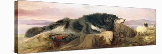 The Shepherd's Dog, 1869 (Oil on Canvas)-Richard Ansdell-Premier Image Canvas