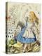 The Shower of Cards, Illustration from Alice in Wonderland by Lewis Carroll-John Tenniel-Premier Image Canvas