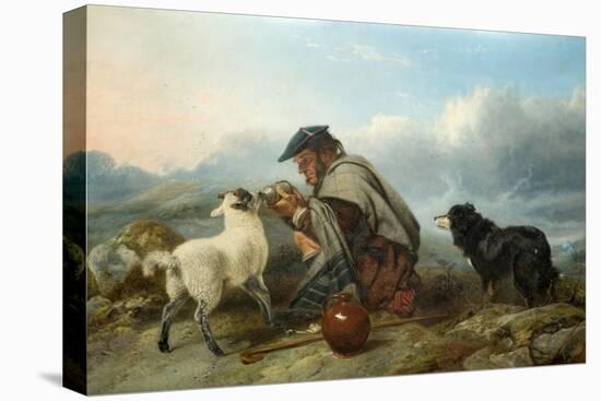 The Sick Lamb, 1853-Richard Ansdell-Premier Image Canvas