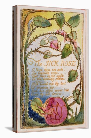 The Sick Rose: Plate 39 from Songs of Innocence and of Experience C.1815-26-William Blake-Premier Image Canvas