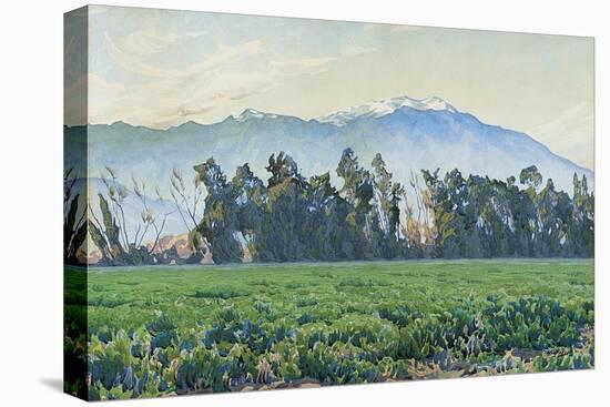 The Sierra Nevada Mountains-Gunnar Widforss-Premier Image Canvas