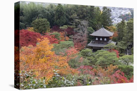 The Silver Pavilion and Gardens in Autumn-Stuart Black-Premier Image Canvas