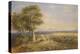 The Skylark, 1848 (Oil on Canvas)-David Cox-Premier Image Canvas