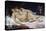 The Sleepers also known as the Sleep (Le Sommeil) by Gustave Courbet-null-Premier Image Canvas