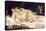 The Sleepers (Le Sommei)-Gustave Courbet-Premier Image Canvas