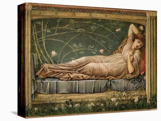 The Sleeping Beauty, 1871-Edward Burne-Jones-Premier Image Canvas