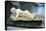 The Sleeping Hermaphroditus. The form of the statue is based on portrayals of Venus-Werner Forman-Premier Image Canvas