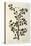 The Sloe Tree, Plate 494 from 'The Curious Herbal', Published 1782-Elizabeth Blackwell-Premier Image Canvas