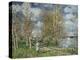 The Small Meadows in Spring-Alfred Sisley-Premier Image Canvas