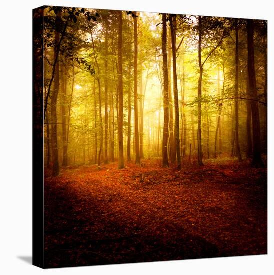 The Smell of Autumn-Philippe Sainte-Laudy-Premier Image Canvas