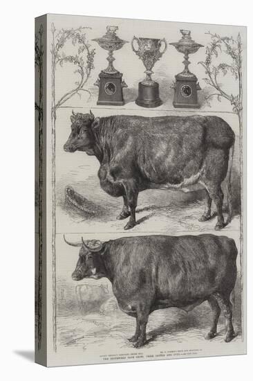 The Smithfield Club Cattle Show, Prize Cattle and Cups-Harrison William Weir-Premier Image Canvas