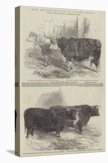 The Smithfield Club Cattle Show, Prize Cattle-Harrison William Weir-Premier Image Canvas