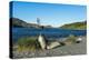 The southern elephant seal (Mirounga leonina) in front of an old whaling boat, Ocean Harbour, South-Michael Runkel-Premier Image Canvas