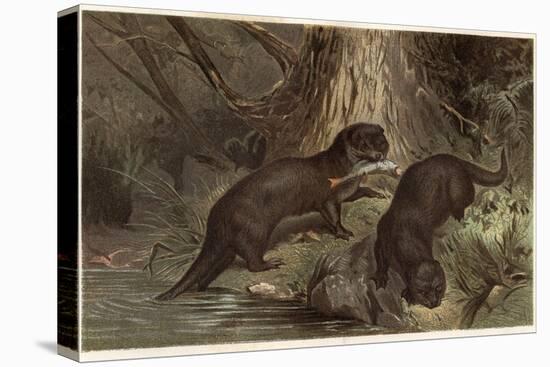 The Southern River Otter by Alfred Edmund Brehm-Stefano Bianchetti-Premier Image Canvas