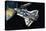 The Space Shuttle-Wilf Hardy-Premier Image Canvas
