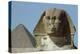 The Sphinx, 4th Dynasty-null-Premier Image Canvas