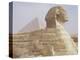 The Sphinx and Chephren Pyramid Beyond, Giza, Unesco World Heritage Site, Near Cairo, Egypt-Nico Tondini-Premier Image Canvas