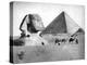 The Sphinx and Pyramid at Giza, Egypt, C1882-null-Premier Image Canvas