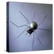 The Spider, 1996-Lawrie Simonson-Premier Image Canvas